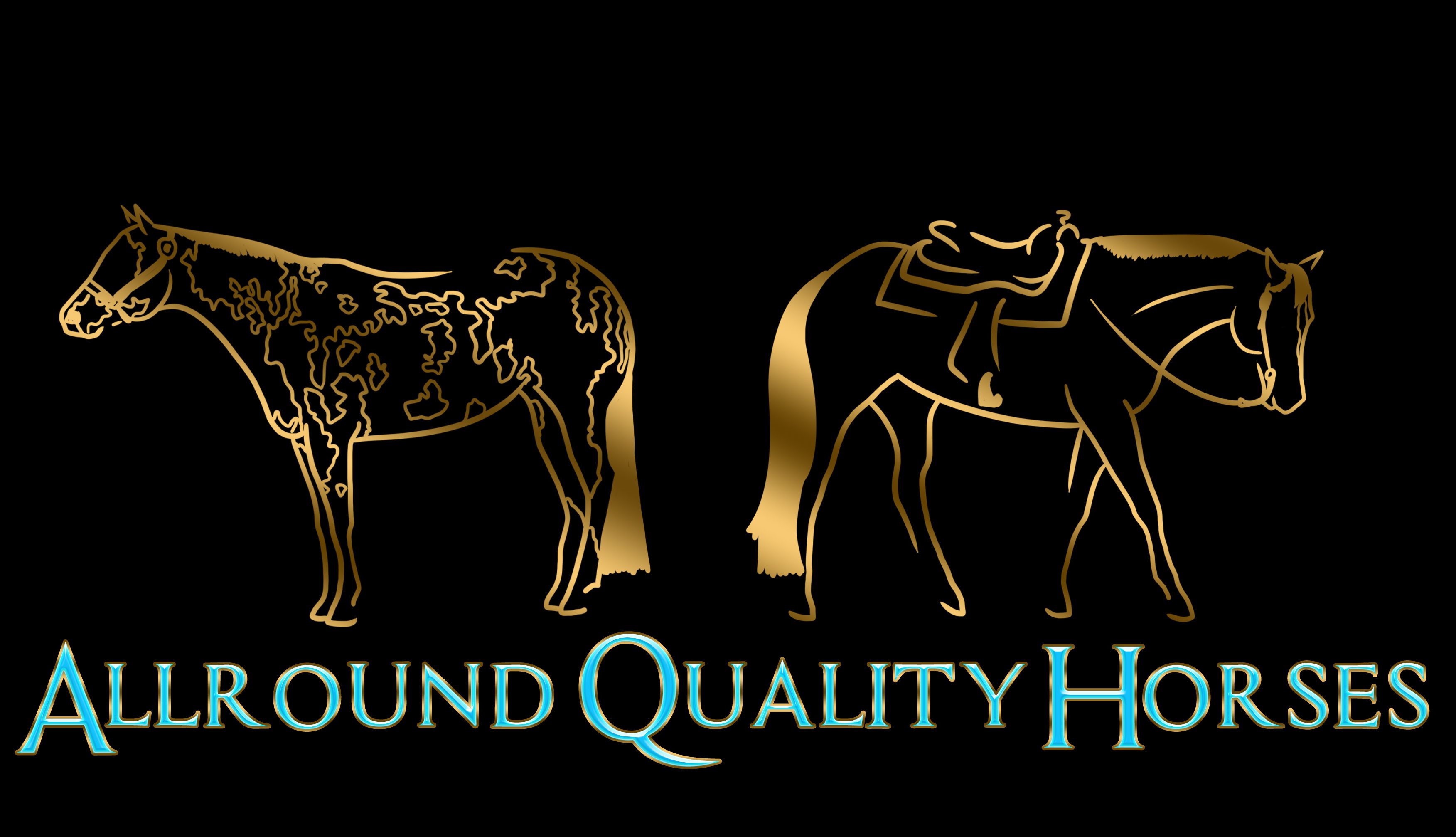 Allround Quality Horses